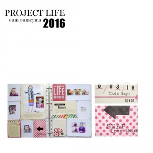 project life 10