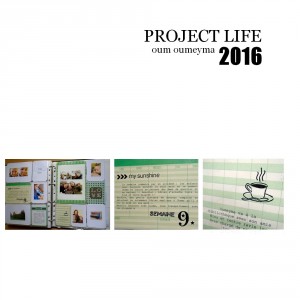 project life 9