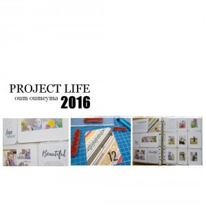 project life 11