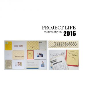 project life 13