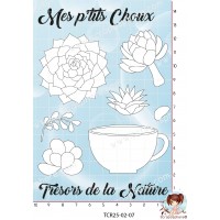 9 TAMPONS SUCCULENTES MES P'TITS CHOUX par l'Atelier de Caroline {attributes}